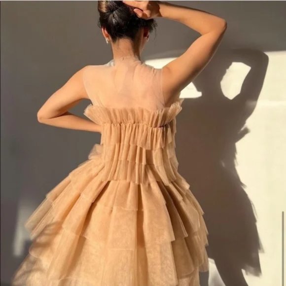 ZARA Tulle Dress Limited Edition Beige Pink Size L - Picture 5 of 13